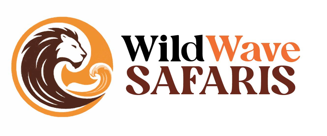 Afrika Tours & Safaris